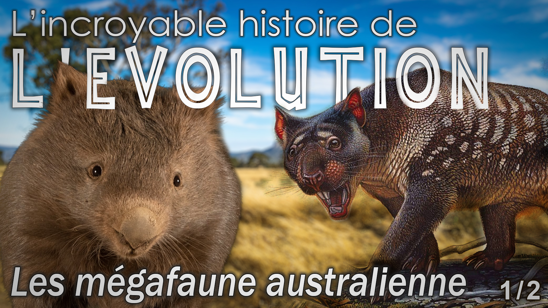 La mégafaune australienne