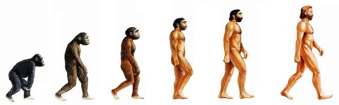 Evolution de l’homme
