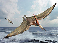 pteranodon du trias