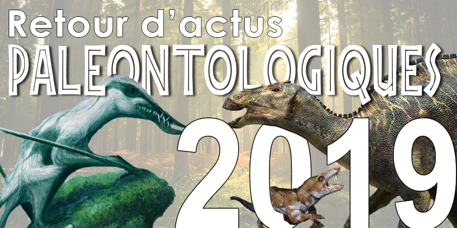 actus paléontologiques 2019