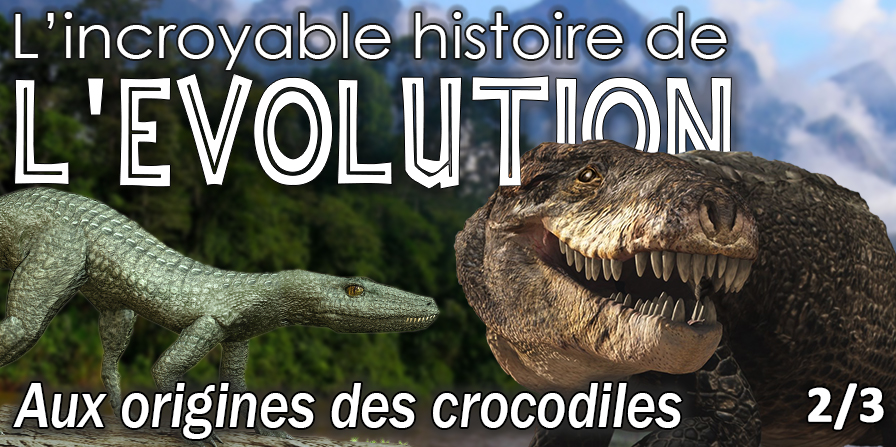 origines des crocodiles