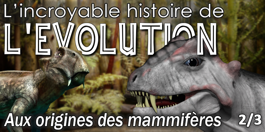 evolution mammiferes