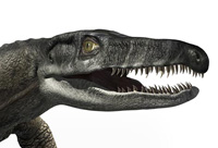  Proterosuchus - trias