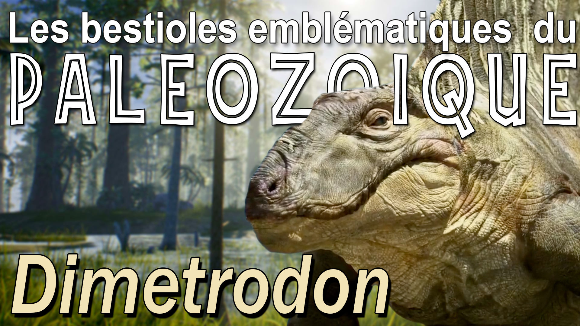 dimetrodon