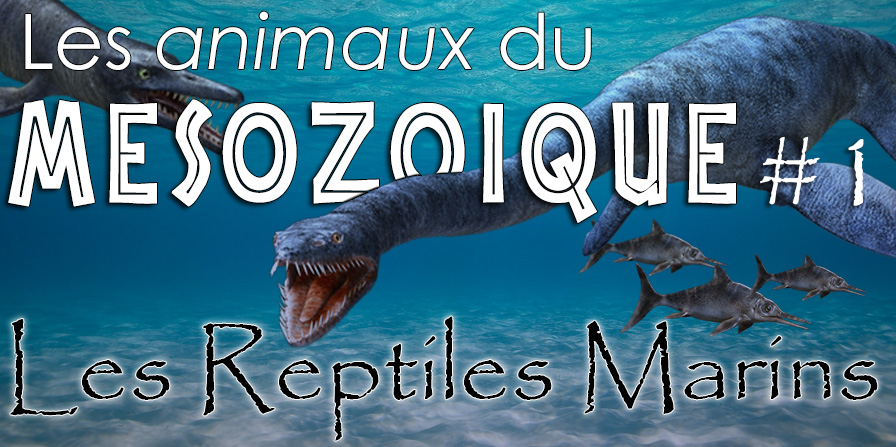 Les reptiles marins du mésozoïque