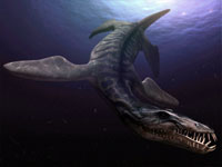 Liopleurodon