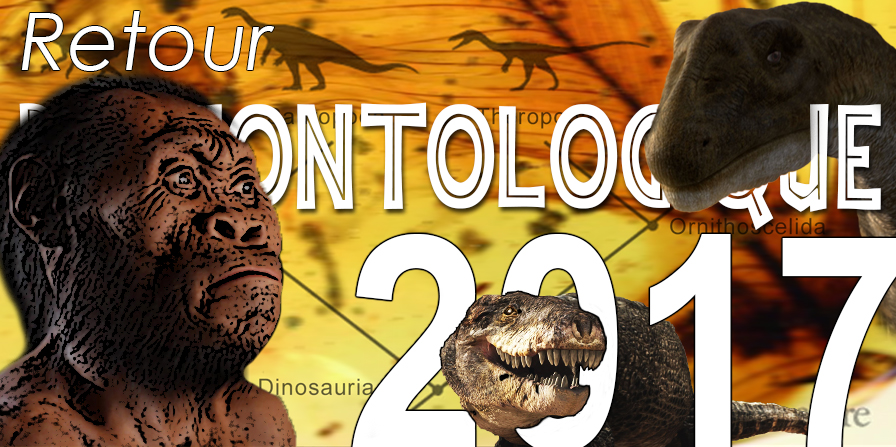 Découvertes paléontologiques 2017