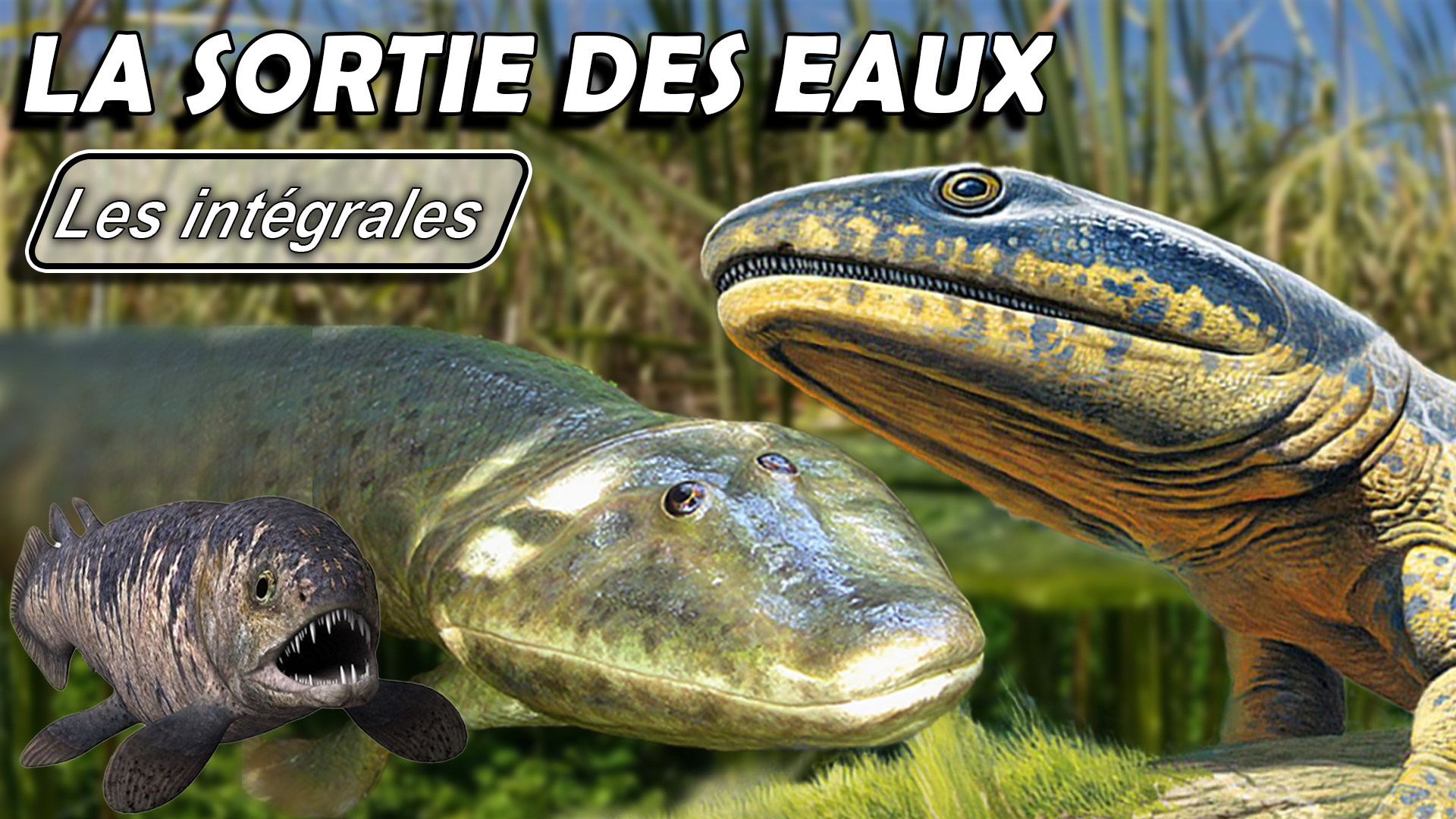 La sortie des eaux