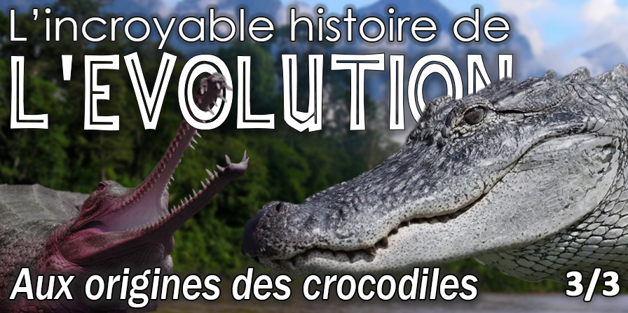 origines des crocodiles