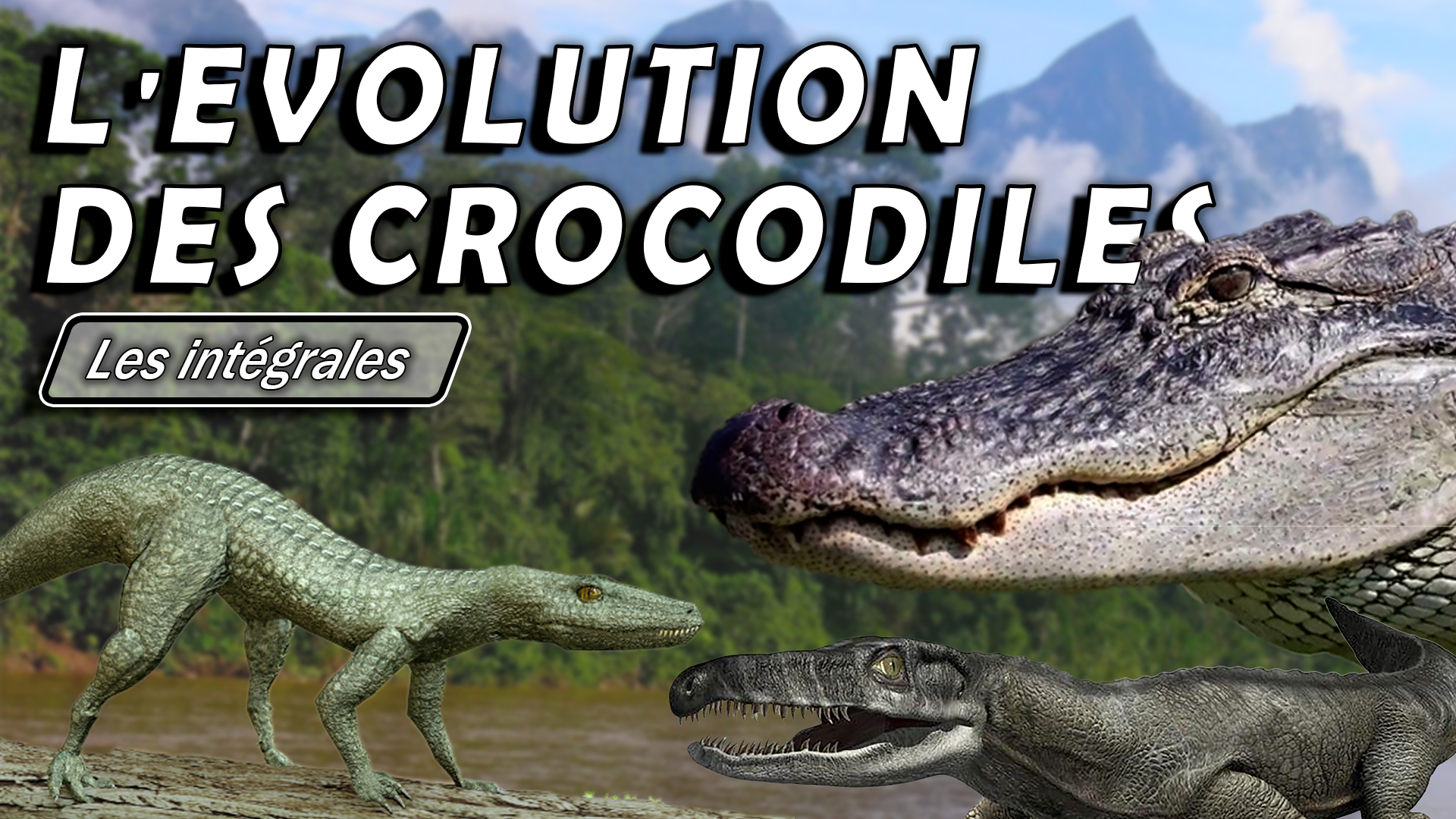 L'évolution des crocodiles