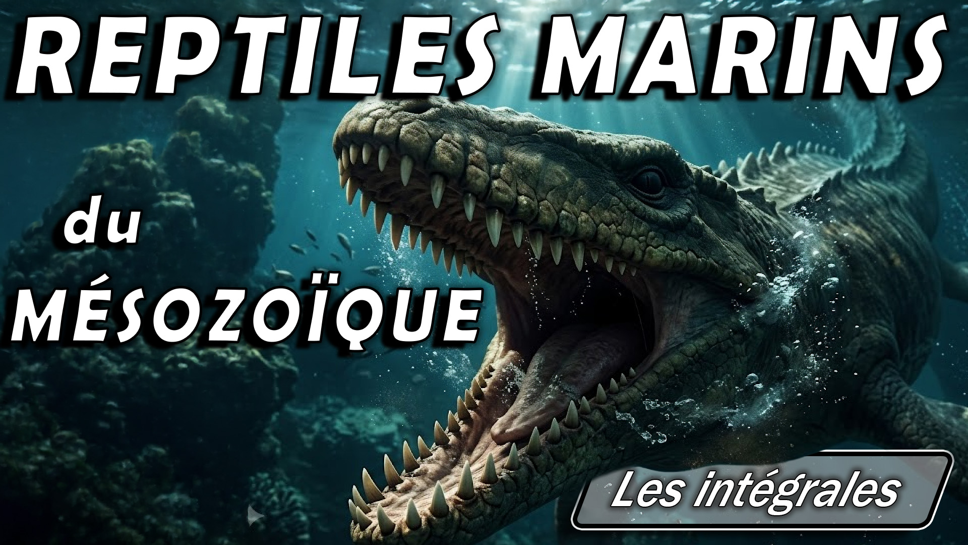 Les Reptiles marins