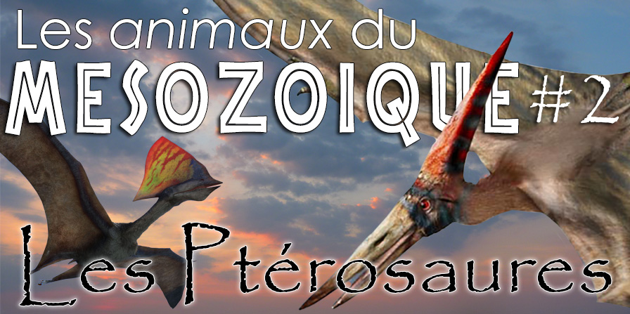 les ptérosaures du mésozoïque