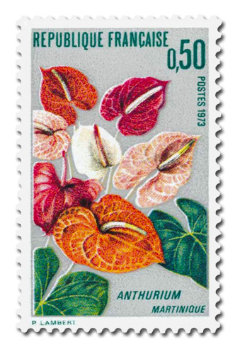 Anthurium de la Martinique
