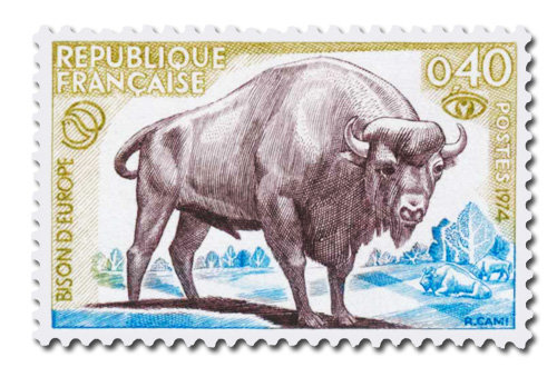 Bison d'Europe - Protection de la nature.